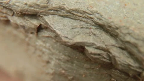 Grey stone texture closeup Stock Footage 277354838
