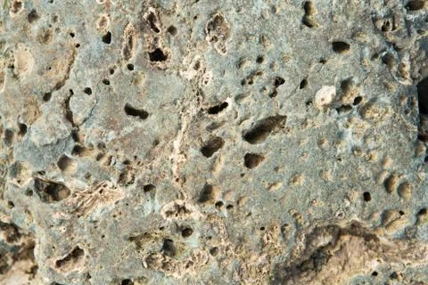 Grey stone texture with flecks and holes Stock Photos