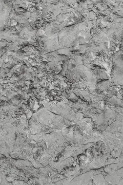 Grey Stone Texture or Background in monochrome. Black and White background. Stock Photos