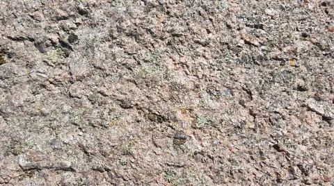 Grey Stone Wall Background Texture Stock Photos