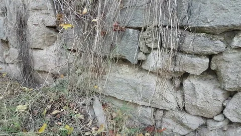 Grey stone wall Vídeos de archivo 97206931