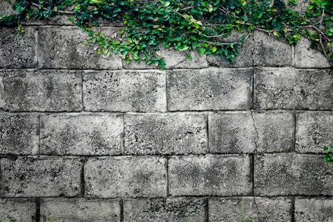 Grey stone wall made of bricks. Background. Fotos de archivo