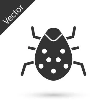 Grey System bug concept icon isolated on white background. Code bug concept. Bug イラスト素材