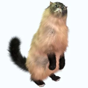 Grey tabby cat Stock Illustration