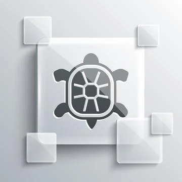 Grey Turtle icon isolated on grey background. Square glass panels. Vector Stock Illustration