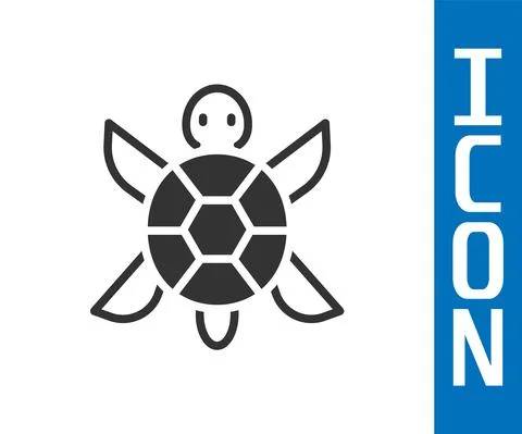 Grey Turtle icon isolated on white background. Vector Stock Illustration