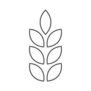 Grey vector wheat line icon isolated on white background Stock Illustration