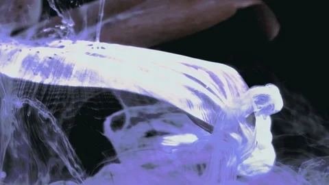 Grey-Violet Spring Flowers In Fast Motion On Inspirational Video Stock Footage 103590919