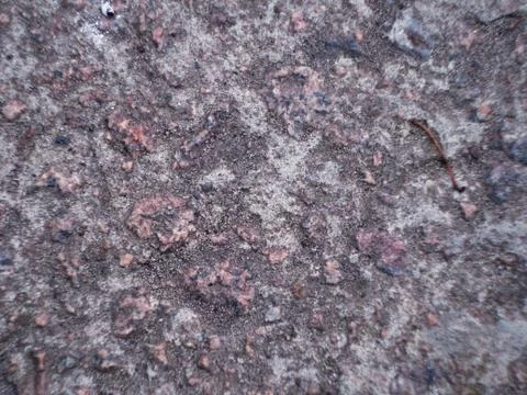 Grey wall made of marble aggregate with small crumbs, close up view. Stock Photos