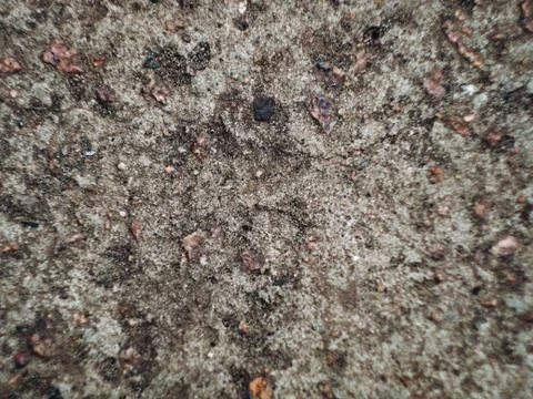 Grey wall made of marble aggregate with small crumbs, close up view. Stock Photos