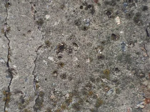 Grey wall made of marble aggregate with small crumbs, close up view. 스톡 사진
