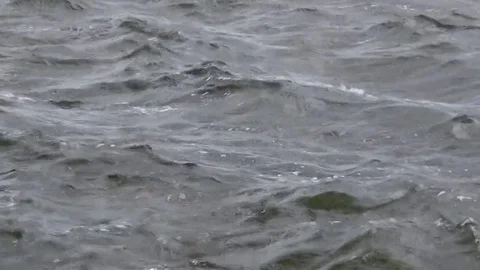 Grey waves on the river Stock Footage 80477681
