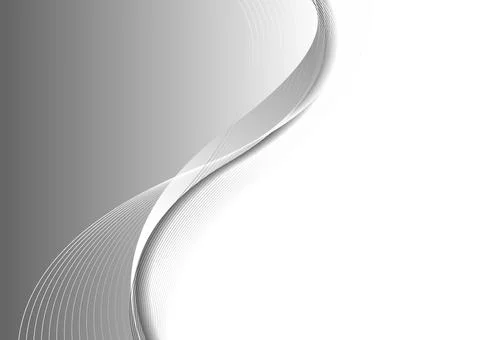 Grey white flowing elegant waves abstract minimal background 스톡 일러스트