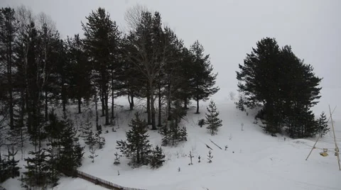 Grey winter day Stock Footage 47949385