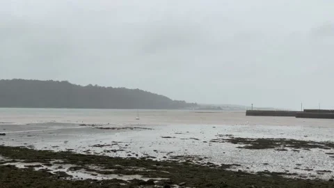 Grey winter by the sea Stock Footage 145291303
