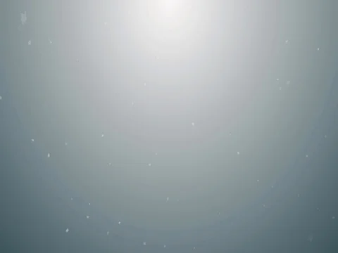 Grey Winter Snow 스톡 동영상 73618252