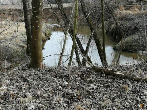 Grey  in wintertime  RIVER sides..... Serie 12. from 16 photos Stock Photos