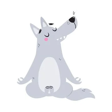 Grey Wolf Character with Pointed Muzzle Sitting in Yoga Pose and Meditating 스톡 일러스트