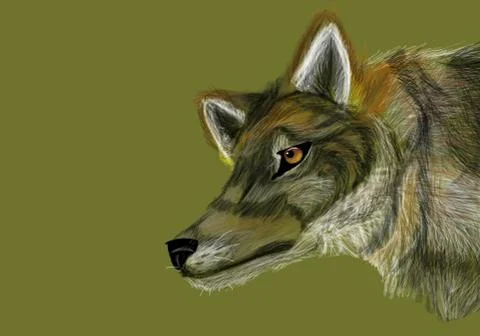 Grey wolf on neutral green background Stock Illustration