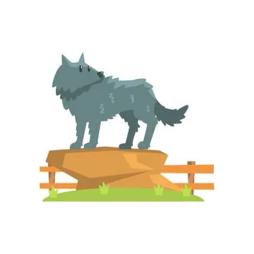 Grey Wolf Standing On Large Rock On Green Grass Patch In Open Air Zoo Enclosure Illustrazione stock