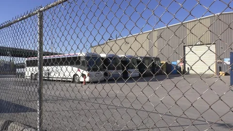 Greyhound Canada coach buses sit parked after going out of business in recession Stock Footage 154079334