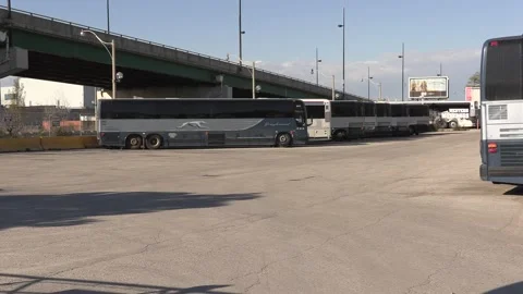 Greyhound Canada coach buses sit parked after going out of business in recession Stock-Footage 154082068
