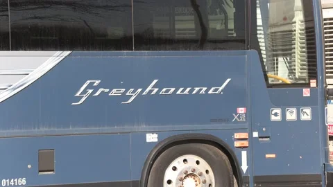 Greyhound Canada coach buses sit parked after going out of business in recession Stock Footage 154082496