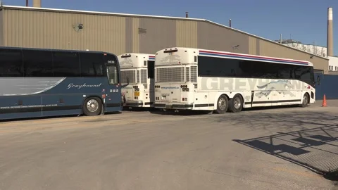 Greyhound Canada coach buses sit parked after going out of business in recession 스톡 동영상 154083889