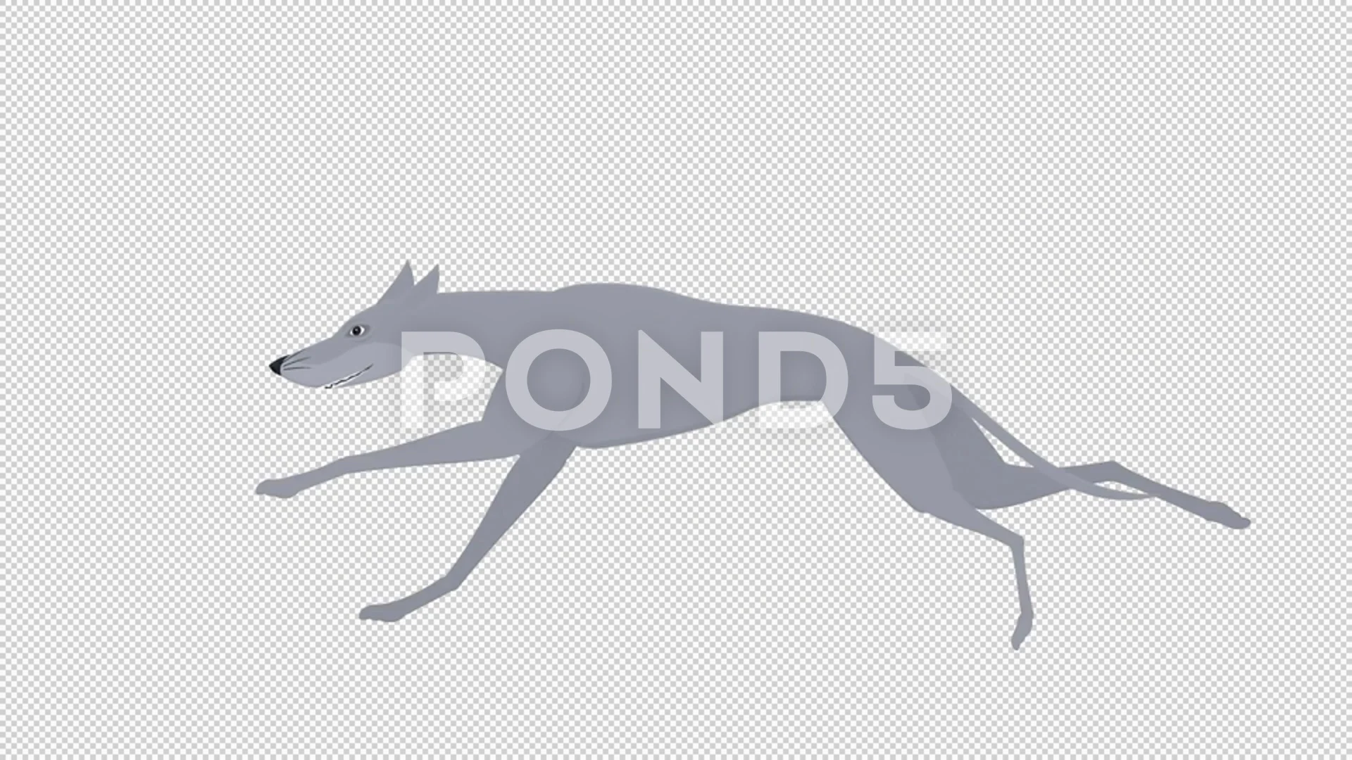 Greyhound dog. Animation of a dog animal... | Stock Video | Pond5