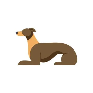 Greyhound dog laying down isolated on white background Stock Illustration