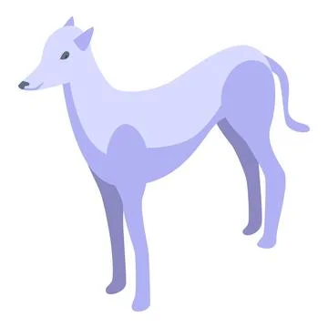 Greyhound dog standing posing isometric view Stock Illustration