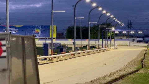 Greyhound Dogs Racing Video stock 169949096