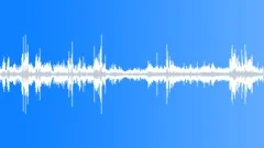 Greyhound Race from Start to Finish Sound Effect