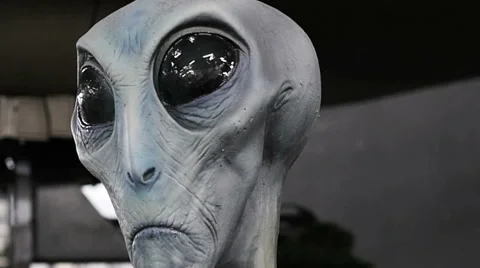 Alien Grey Stock Video Footage Royalty Free Alien Grey Videos Pond5