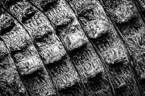 Greyscale pattern of thick curvy lines closely attached to each other Stock Photos