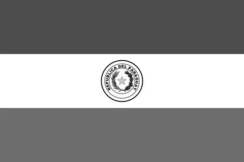 Greyscale vector flag of Paraguay Stock Illustration