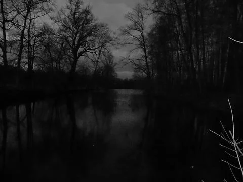 Greyscaled image - Chilling cold image of dark forest around black water pond. Stock Photos