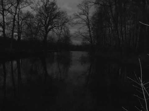 Greyscaled image - Eerie bare forest and dark clouds surrounding a black pond. Stock Photos