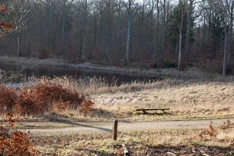 Gribskov in Denmark Fotos Stock
