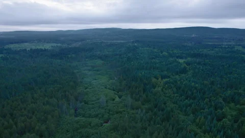 Off the grid 01 Video stock 246126601