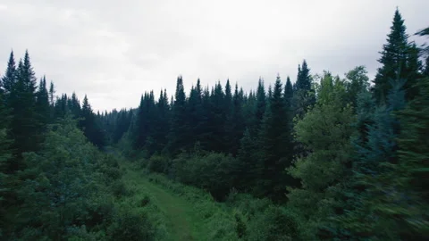 Off the grid 02 Video stock 246125335