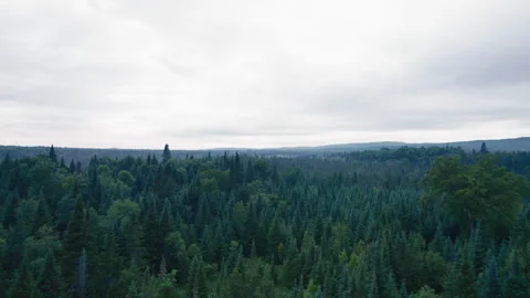 Off the grid 04 Stock Footage 246125443