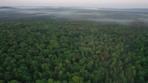 Off the grid 14 Stock Footage 246503050