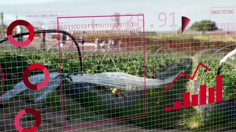 Grid and globe appearing, scan box scanning bed, markers forming, charts rising Stock Footage 334266946