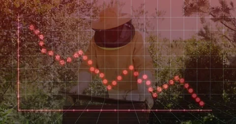 Grid and red plot appearing over keeper opening hive, inspecting, tracking Video stock 331125900