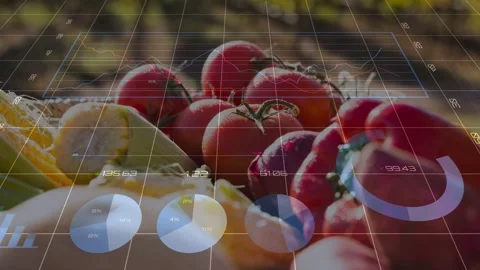 Grid appearing, data overlays animating over cluster of cherry tomatoes to show Stock Footage 333413738