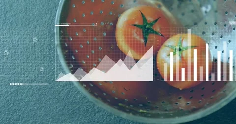Grid appearing over colander with tomatoes, line and bar charts emerging, map Stock Footage 317592970