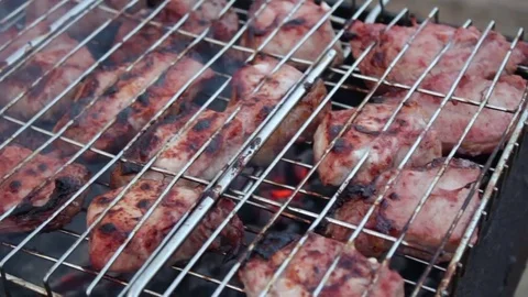Grid with a barbecue Stock Footage 79206470