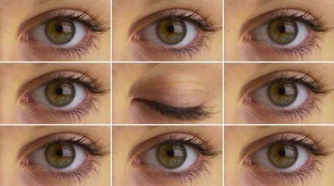 Grid of blinking eyes Video stock 12342645