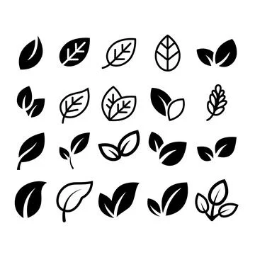 A grid collection of various leaf icons and sprouts, showing minimal vector.. Stockillustratie